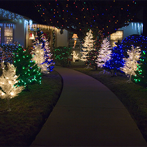Christmas Tree Lane in Oxnard’s Historic District